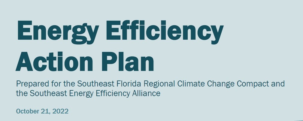 Energy Efficiency Action Plan