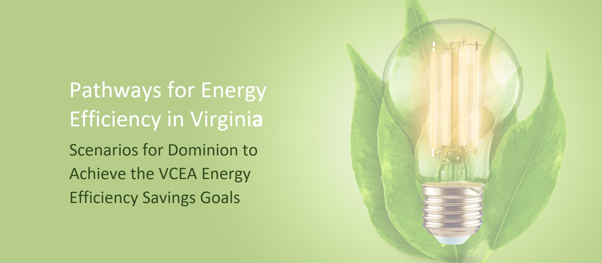 Pathways for Energy Efficiency in Virginia – Scenarios for Dominion to Achieve the VCEA Energy Efficiency Savings Goals Pathways for Energy Efficiency in Virginia